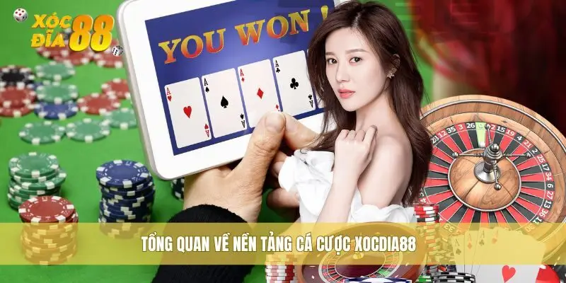 Tổng quan về nền tảng cá cược uy tín Xocdia88